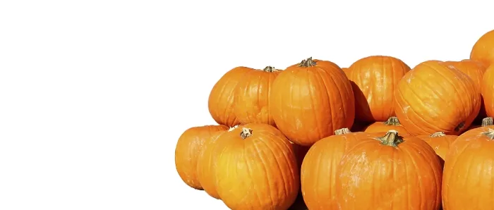 Framed Print : Pumpkins Print by imageBROKER