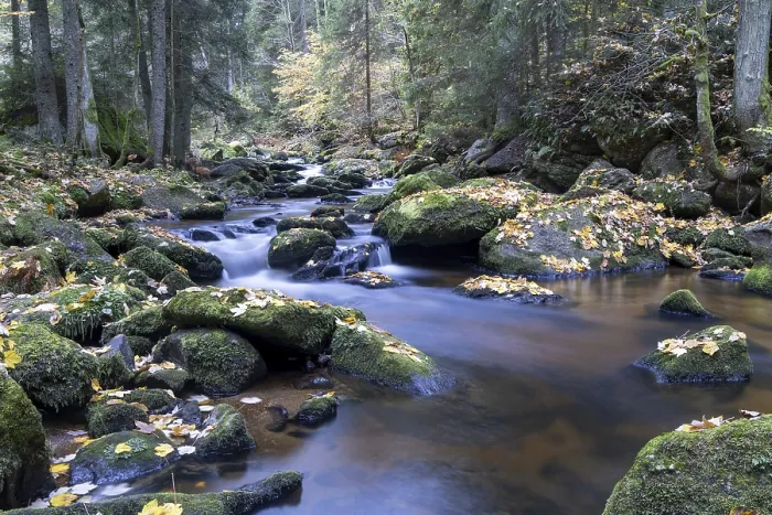 Framed Print : Autumn Forest Stream Print, Lower Austria Framed Print : Autumn Forest Stream Print, Lower Austria