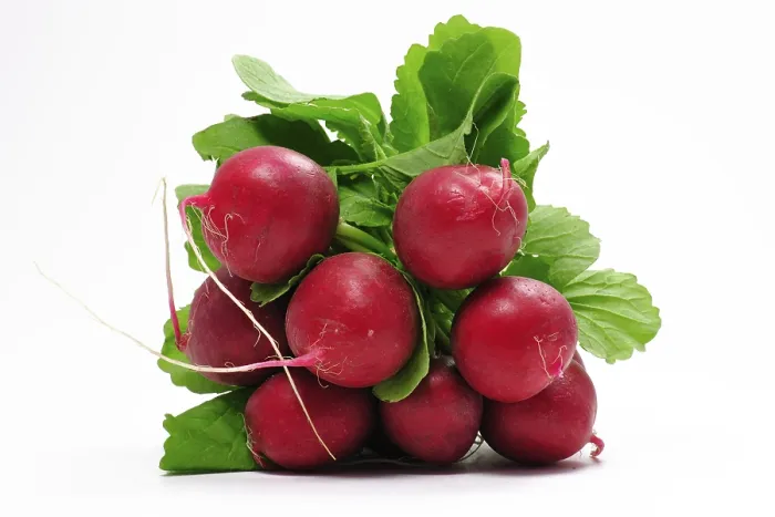 Framed Print : Radish Radish Print, Vegetable Still Life Framed Print : Radish Radish Print, Vegetable Still Life