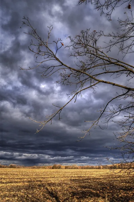 Framed Print : Nature's Duality Print: Clouds, Sun and Autumn Meadow Framed Print : Nature's Duality Print: Clouds, Sun and Autumn Meadow