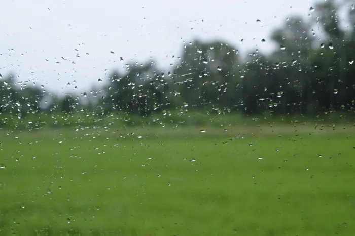 Framed Print : Raindrops on Window Print: Blurred Green Landscape Framed Print : Raindrops on Window Print: Blurred Green Landscape
