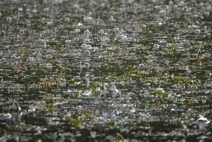 Framed Print : Rain Falling on a Pond Print, Germany May Framed Print : Rain Falling on a Pond Print, Germany May