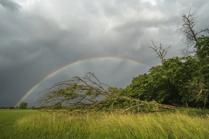 Framed Print : Rainbow Over Storm-Damaged Countryside Print Framed Print : Rainbow Over Storm-Damaged Countryside Print