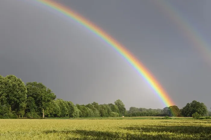 Framed Print : Vechta Rainbow over a Cornfield Print, Germany Framed Print : Vechta Rainbow over a Cornfield Print, Germany