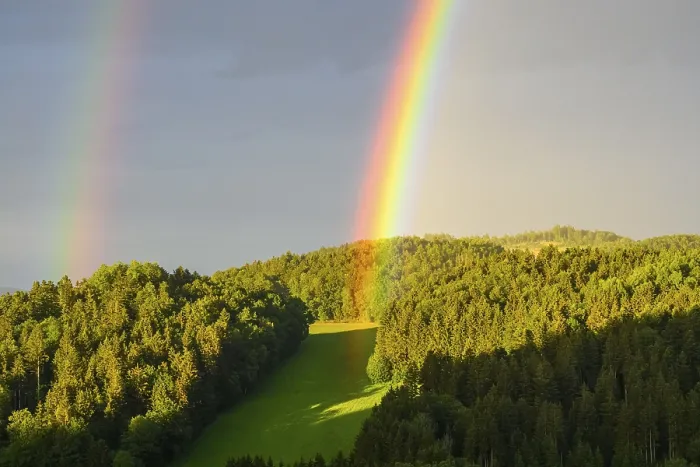 Framed Print : Rainbow in Bavarian Forest, Germany Print Framed Print : Rainbow in Bavarian Forest, Germany Print