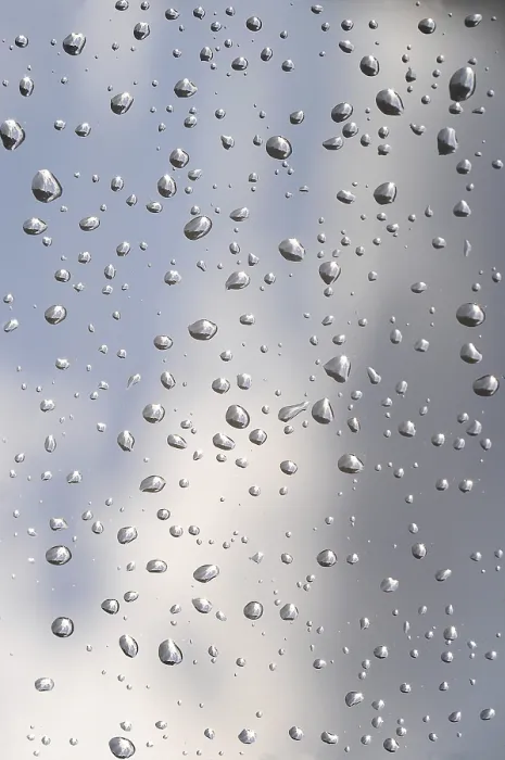 Framed Print : Raindrops, Germany Print