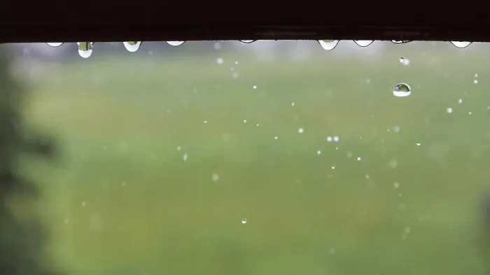Framed Print : Raindrops Hanging on Window Frame Print Framed Print : Raindrops Hanging on Window Frame Print