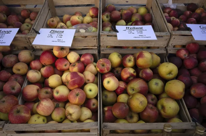 Framed Print : Range of Apples at Stuttgart Market - Print Framed Print : Range of Apples at Stuttgart Market - Print