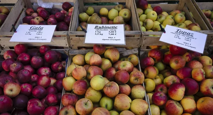 Framed Print : Range of Apples at Stuttgart Market - Print Framed Print : Range of Apples at Stuttgart Market - Print