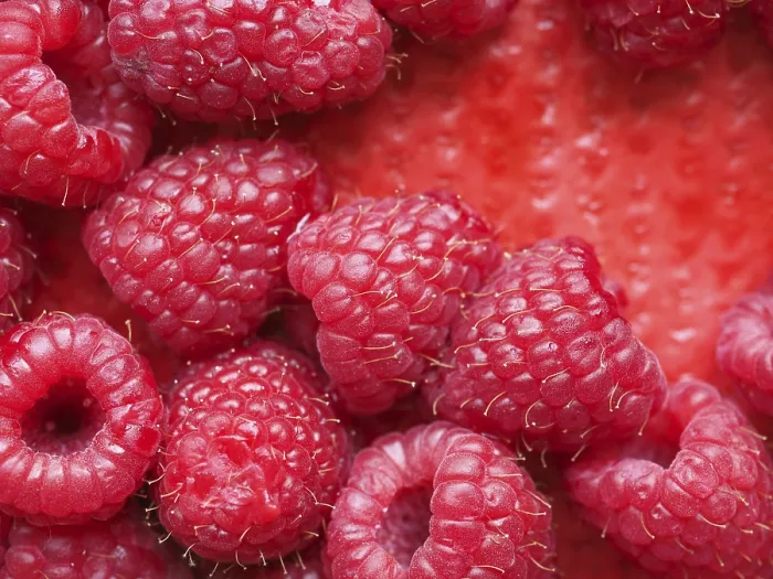 Framed Print : Raspberry Fruit Print Framed Print : Raspberry Fruit Print