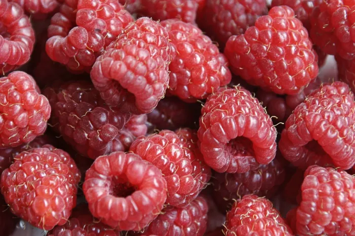 Framed Print : Raspberries Print Framed Print : Raspberries Print
