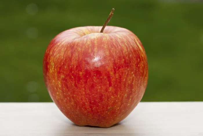 Framed Print : Red Apple Print Framed Print : Red Apple Print