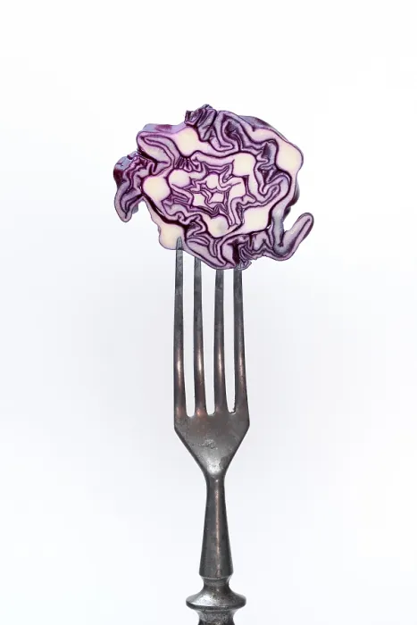 Framed Print : Red Cabbage Print - Fresh on Fork Framed Print : Red Cabbage Print - Fresh on Fork