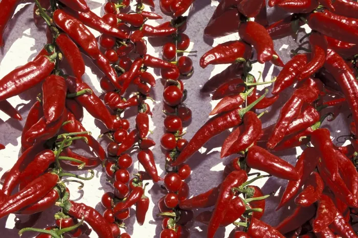 Framed Print : Red Chilli Red Pepper Print Framed Print : Red Chilli Red Pepper Print