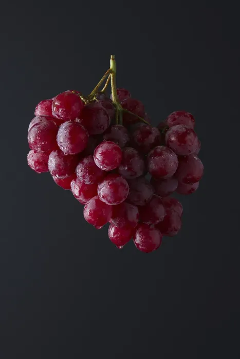 Framed Print : Red Grape Branch Print on Black Background Framed Print : Red Grape Branch Print on Black Background