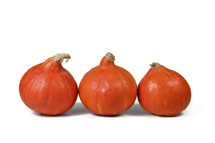 Framed Print : Three 'Red Kuri' Squashes Print Framed Print : Three 'Red Kuri' Squashes Print