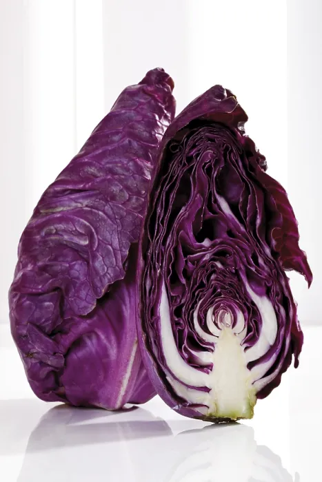Framed Print : Red Pointed Cabbage Print Framed Print : Red Pointed Cabbage Print