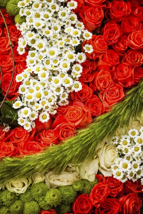 Framed Print : Red Roses and Chamomiles Print for Wedding Design Framed Print : Red Roses and Chamomiles Print for Wedding Design