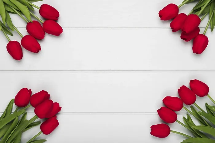 Framed Print : Red Tulips Print - Vibrant Floral Frame