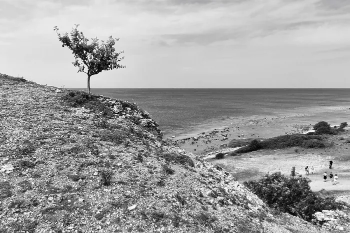 Framed Print : Reef Limestone Cliffs Print, Gotland, Sweden Framed Print : Reef Limestone Cliffs Print, Gotland, Sweden