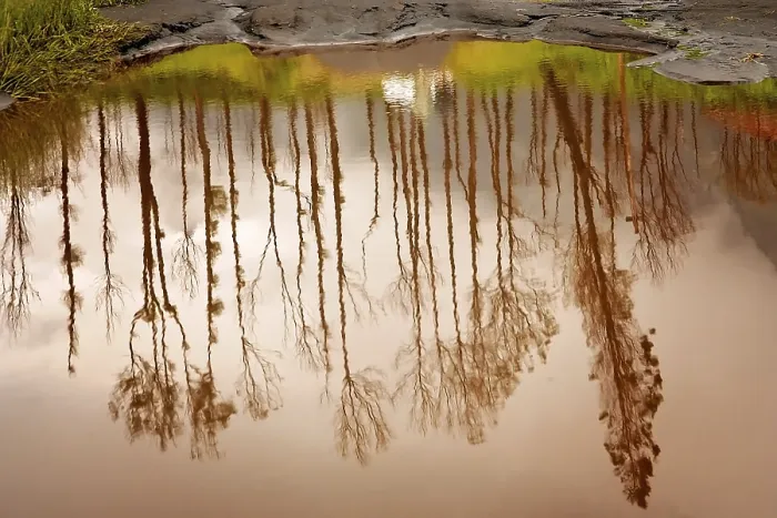 Framed Print : Autumn Reflection Print in Java, Indonesia