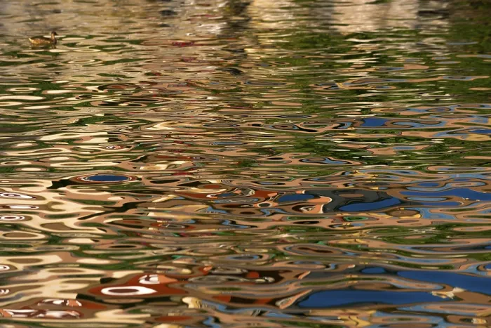 Framed Print : Reflection in Water Print, Lake Scene Abstract Art