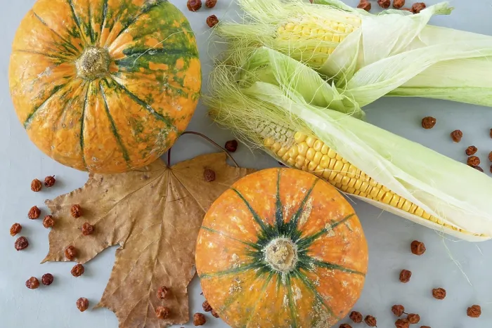 Framed Print : Harvest Print: Ripe Pumpkins and Corn on Gray Background Framed Print : Harvest Print: Ripe Pumpkins and Corn on Gray Background
