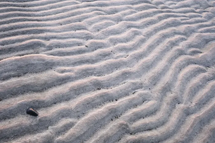Framed Print : Westerhever Ripple Pattern in Mudflats Print, Germany Framed Print : Westerhever Ripple Pattern in Mudflats Print, Germany