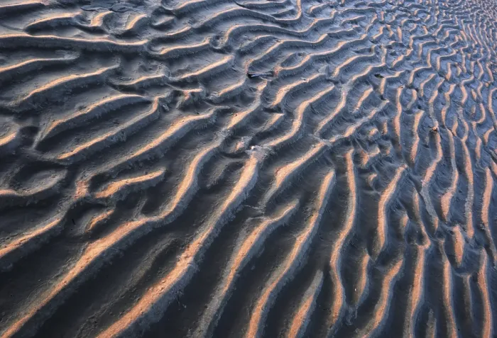 Framed Print : Westerhever Ripple Pattern in Mudflats Print, Germany Framed Print : Westerhever Ripple Pattern in Mudflats Print, Germany