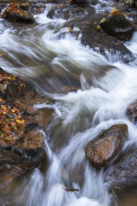 Framed Print : River Bode Autumnal Harz Mountains Print Framed Print : River Bode Autumnal Harz Mountains Print