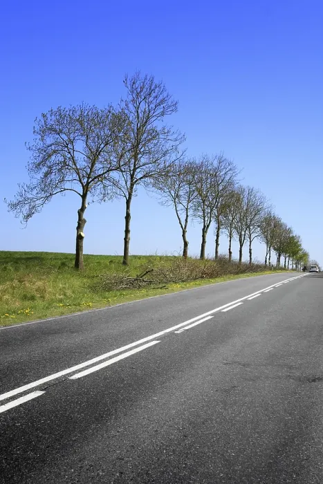 Framed Print : Road Print by ImageBROKER Framed Print : Road Print by ImageBROKER