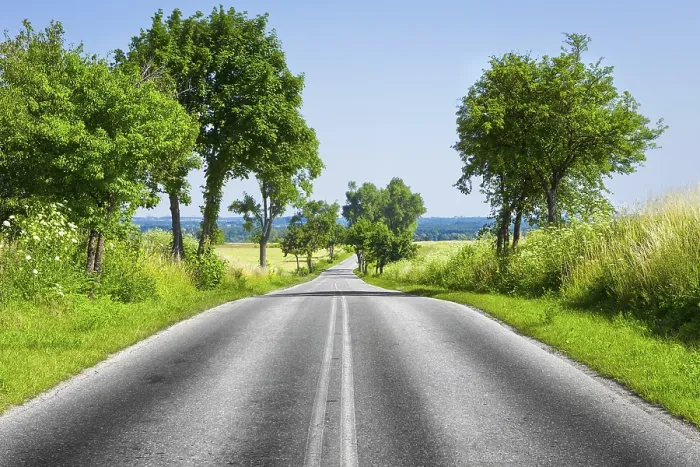 Framed Print : Road and Green Tree Print Framed Print : Road and Green Tree Print