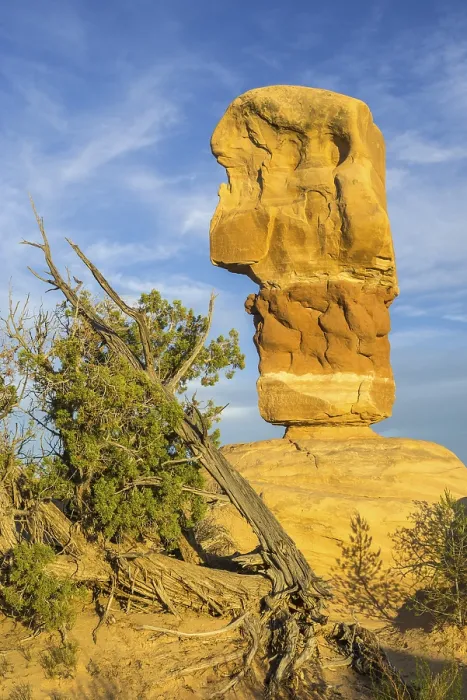 Framed Print : Devil's Garden Rock Formations Print, Escalante Utah Framed Print : Devil's Garden Rock Formations Print, Escalante Utah