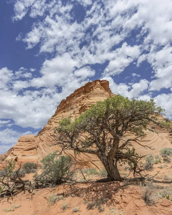 Framed Print : Teepees Rock Formations Print, Marble Canyon, Arizona Framed Print : Teepees Rock Formations Print, Marble Canyon, Arizona