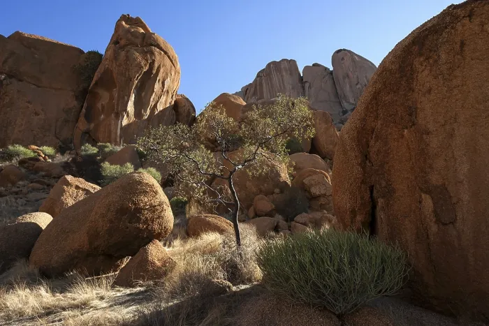 Framed Print : Rocks and Vegetation, Spitzkoppe, Damaraland, Namibia Print Framed Print : Rocks and Vegetation, Spitzkoppe, Damaraland, Namibia Print
