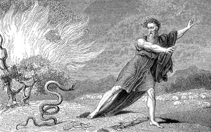 Framed Print : Moses' Rod Transforms into a Serpent Print Framed Print : Moses' Rod Transforms into a Serpent Print