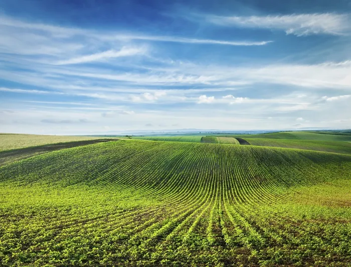 Framed Print : Rolling Fields of Moravia Print, Czech Republic