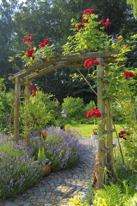 Framed Print : Rose Arch Print Framed Print : Rose Arch Print