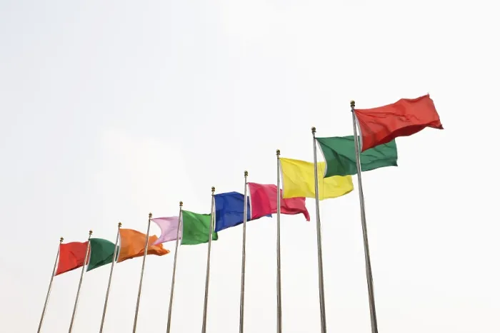 Framed Print : Colourful Flag Row Print Framed Print : Colourful Flag Row Print