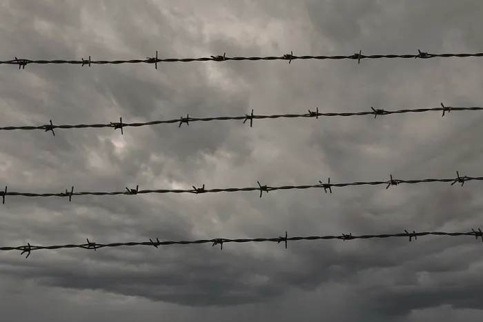 Framed Print : Four Rows of Barbed Wire Print Framed Print : Four Rows of Barbed Wire Print