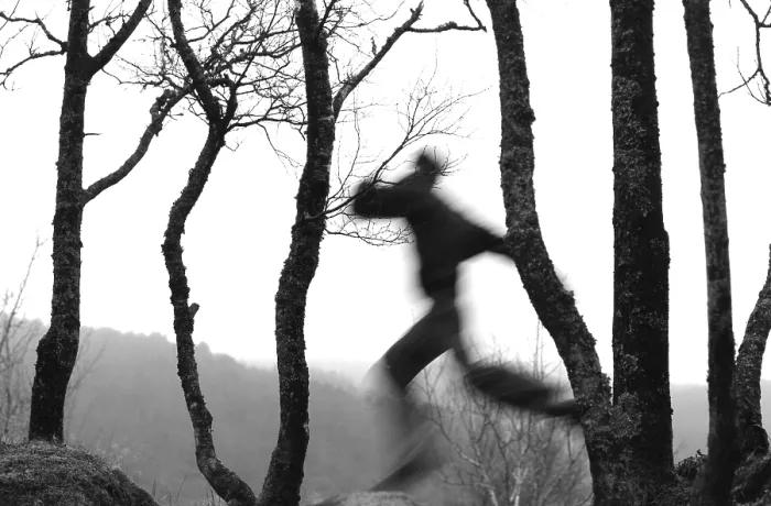 Framed Print : Running in the Woods Print
