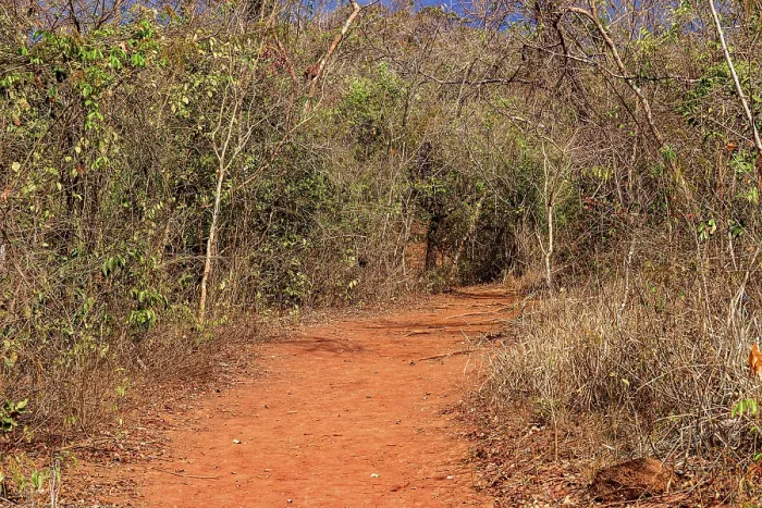Framed Print : Rustic Dirt Path in Minas Gerais, Brazil Print Framed Print : Rustic Dirt Path in Minas Gerais, Brazil Print
