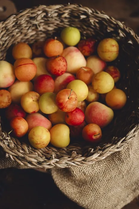 Framed Print : A Rustic Woven Basket Overflows with Fresh Plums Print Framed Print : A Rustic Woven Basket Overflows with Fresh Plums Print