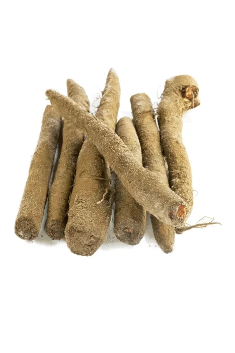 Framed Print : Salsify Print - Close-up of Roots Framed Print : Salsify Print - Close-up of Roots