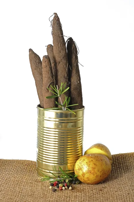 Framed Print : Salsify Roots in a Tin Print Framed Print : Salsify Roots in a Tin Print