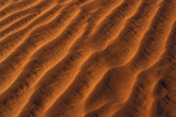 Framed Print : Sand Dune Print by imageBROKER Framed Print : Sand Dune Print by imageBROKER