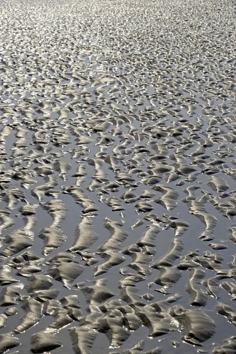 Framed Print : Wangerooge Sandy Beach Low Tide Print Framed Print : Wangerooge Sandy Beach Low Tide Print