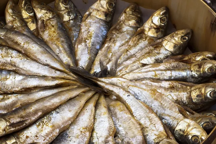 Framed Print : Sardines Print from imageBROKER