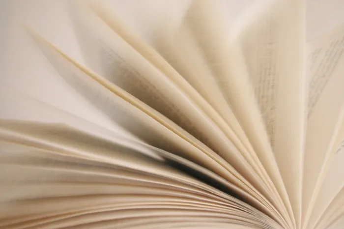 Framed Print : ImageBROKER Print: Gentle Page Turning in a Book Framed Print : ImageBROKER Print: Gentle Page Turning in a Book
