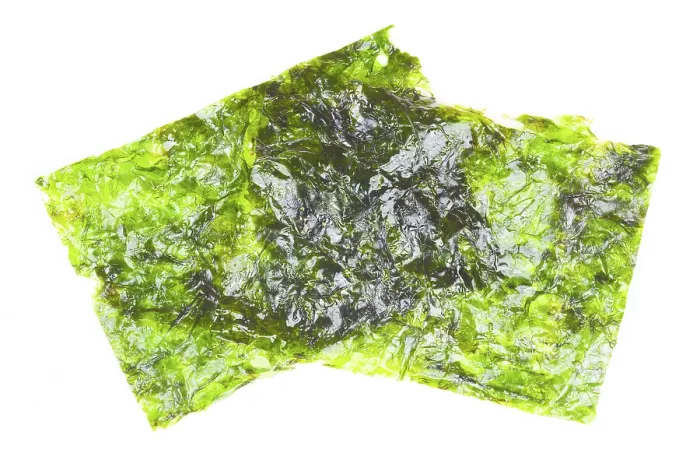 Framed Print : Seaweed in Sheets Print Framed Print : Seaweed in Sheets Print